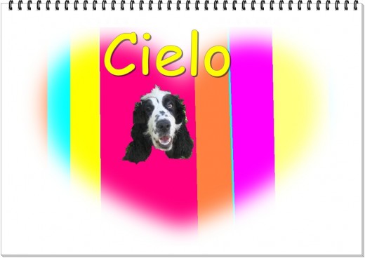 XCieloo